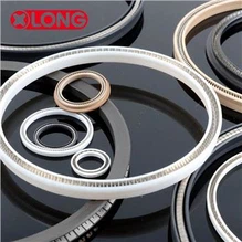 PTFE بهار انرژی هیدرولیک مهر و موم دوار
